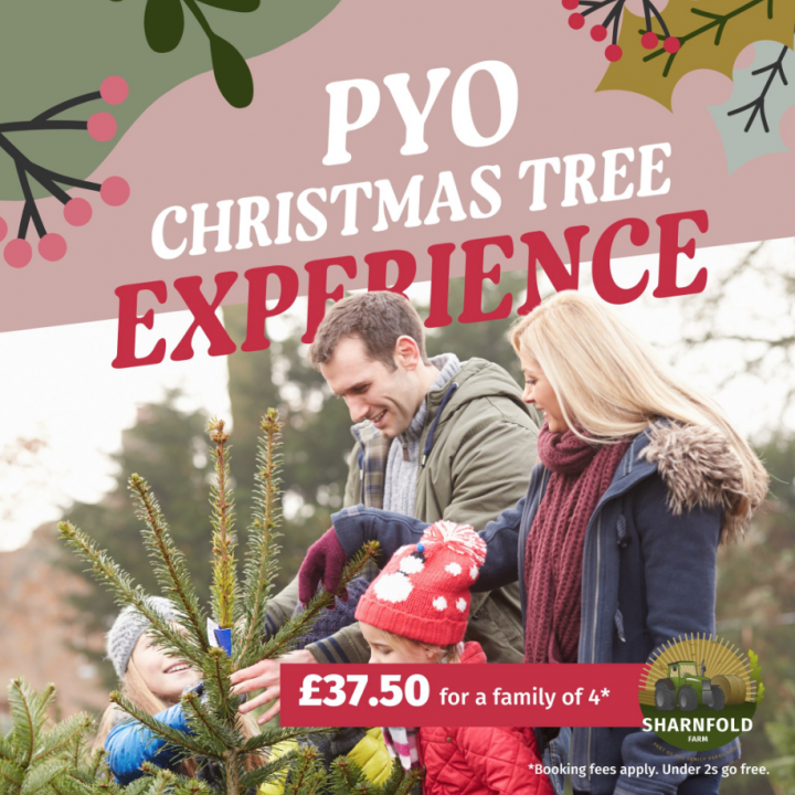 sharnfold farm pick your won christmas tree family experience